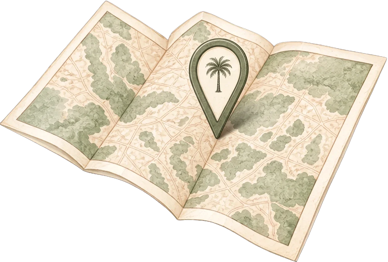 An illustrated map with a palm-tree pin