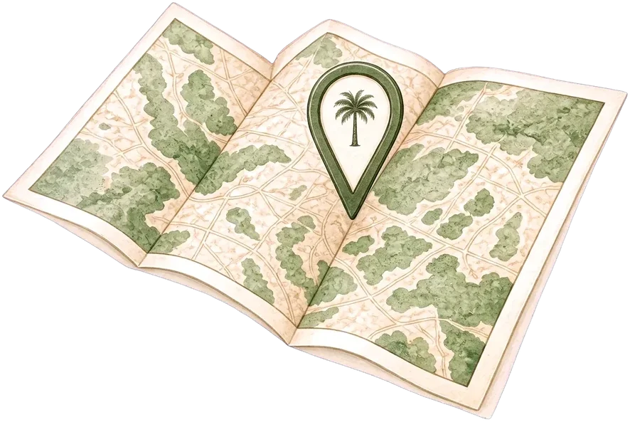 An illustrated map with a palm-tree pin